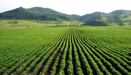 一体化灌溉泵房