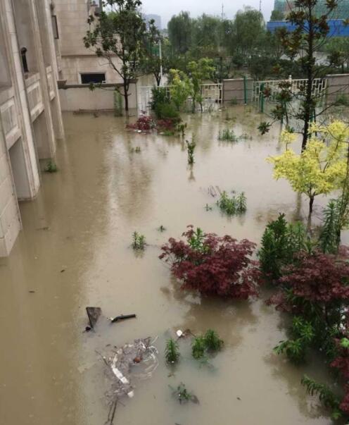 智能雨污分流井.jpg