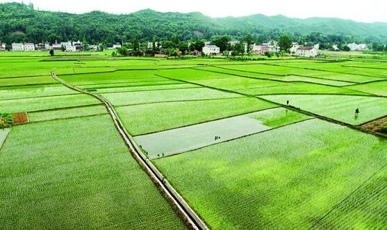 农田灌溉用一体化智能泵站.jpg